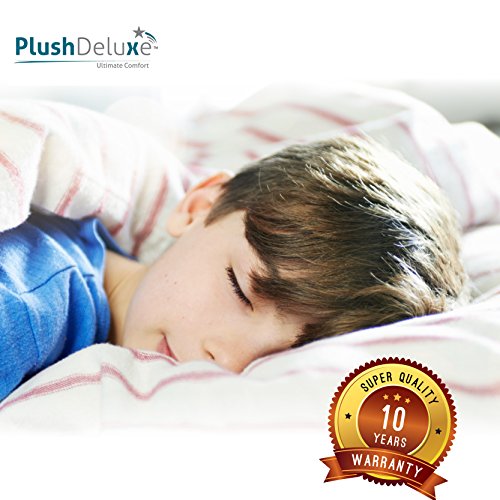 PlushDeluxe Premium Mattress Encasement - Zippered Waterproof BedCover, 6-Sided Protection - Hypoallergenic Terry Fabric - Protects Against Dust, Critters - [9-12"]Depth, Full Size Mattress Protector