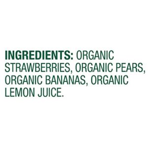 Sprout Strawberry Pear Banana Organic Baby Food 3.5 oz Pack of 12