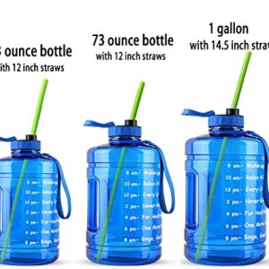 Tegion 12 Inch Extra Long Reusable Silicone Straight Straws for Extra Tall Tumbler 40 OZ Hydro Flask,32 OZ Blender Bottle Nutribullet, Nutri Ninja Cups