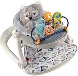 fisher-price premium sit me up floor seat with toy tray owl