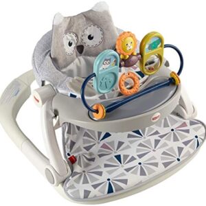 Fisher-Price Premium Sit Me Up Floor Seat with Toy Tray Owl