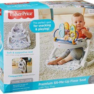 Fisher-Price Premium Sit Me Up Floor Seat with Toy Tray Owl