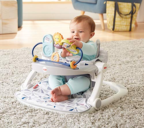 Fisher-Price Premium Sit Me Up Floor Seat with Toy Tray Owl