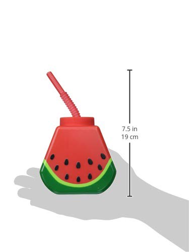 Watermelon Disposable Sippy Cup - 22 oz. | 1 Pc.