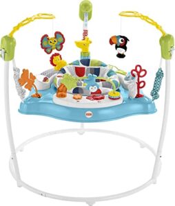 fisher-price baby bouncer color climbers jumperoo activity center with music lights & developmental toys (amazon exclusive)