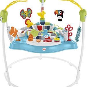 Fisher-Price Baby Bouncer Color Climbers Jumperoo Activity Center with Music Lights & Developmental Toys (Amazon Exclusive)