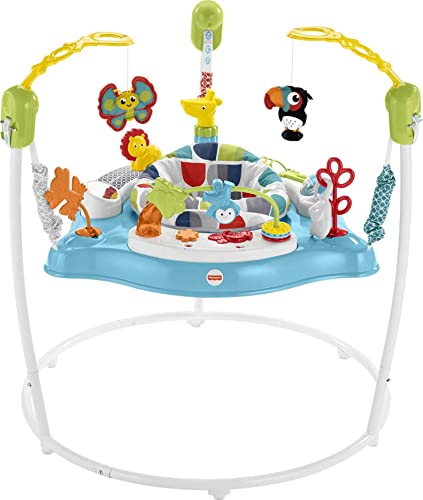 Fisher-Price Baby Bouncer Color Climbers Jumperoo Activity Center with Music Lights & Developmental Toys (Amazon Exclusive)