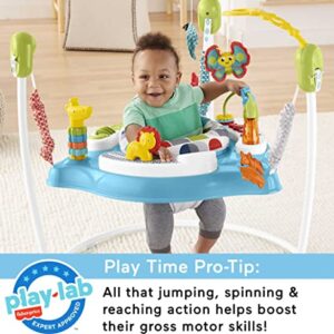 Fisher-Price Baby Bouncer Color Climbers Jumperoo Activity Center with Music Lights & Developmental Toys (Amazon Exclusive)