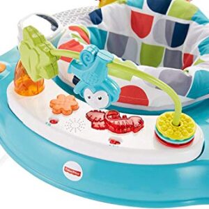 Fisher-Price Baby Bouncer Color Climbers Jumperoo Activity Center with Music Lights & Developmental Toys (Amazon Exclusive)