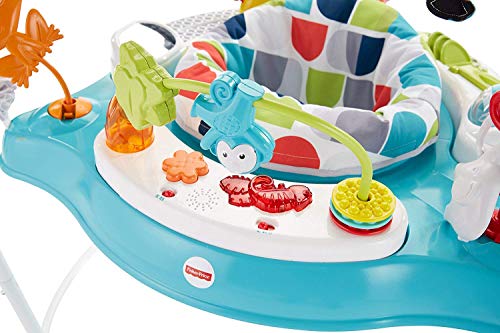 Fisher-Price Baby Bouncer Color Climbers Jumperoo Activity Center with Music Lights & Developmental Toys (Amazon Exclusive)