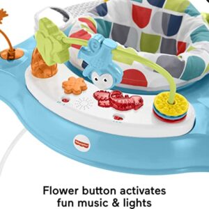 Fisher-Price Baby Bouncer Color Climbers Jumperoo Activity Center with Music Lights & Developmental Toys (Amazon Exclusive)