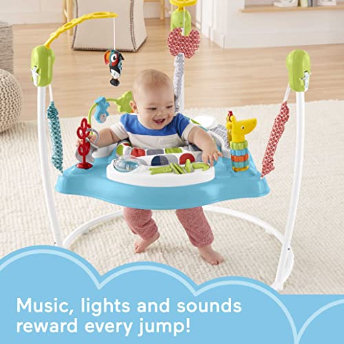 Fisher-Price Baby Bouncer Color Climbers Jumperoo Activity Center with Music Lights & Developmental Toys (Amazon Exclusive)