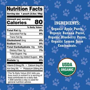 Paw Patrol Bold Blueberry Organic Mixed Fruit Squeeze Pouch, 3.5 Ounce (Pack of 10)