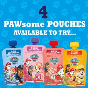 Paw Patrol Bold Blueberry Organic Mixed Fruit Squeeze Pouch, 3.5 Ounce (Pack of 10)