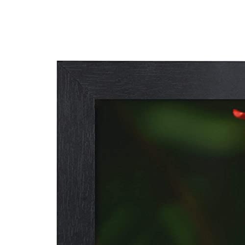Uzifa 11x14 Picture Frame Photo Frame Picture Frames 11x14 - WOOD Non Glass without Mat For Display Certificate/Photo/Picture for Wall Mount Wooden Frames- W51114G BLACK