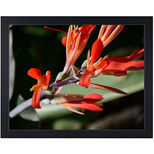 Uzifa 11x14 Picture Frame Photo Frame Picture Frames 11x14 - WOOD Non Glass without Mat For Display Certificate/Photo/Picture for Wall Mount Wooden Frames- W51114G BLACK