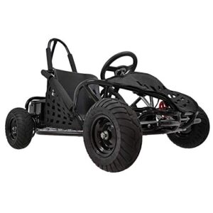 Go-Bowen 2019 Baja 1000W 48V Deluxe Electric Go-Kart - Black - Upgraded