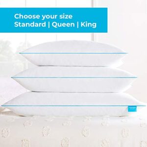 Linenspa Pillow Queen Size Set of 2 – 2 Pack Shredded Memory Foam Bed Pillows for Sleeping – Stomach Sleeper Pillow, Side Sleeper Pillow and Back Sleeper Pillow, Queen Pillows 2 Pack White