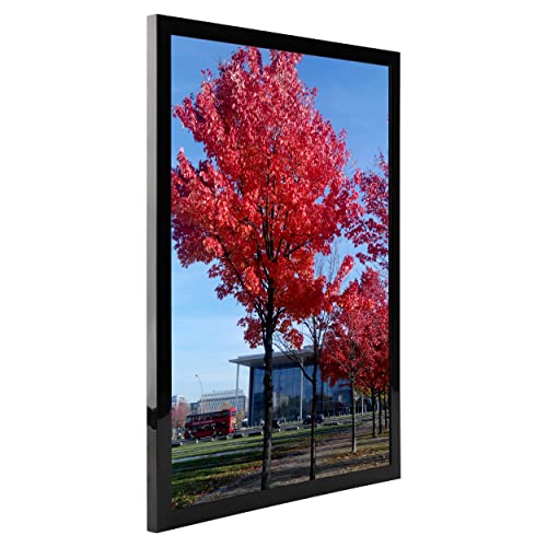 Medog 10x12 Picture Frame Black 10 by 12 Inch Black Picture Poster Frame, Smooth Finish, Non-Glass Without Mat for Display Certificate/Photo 10x12 for Wall Mount Frames (P1E 1012 1P)