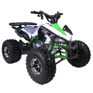 X-PRO 125cc ATV 4 Wheeler ATV Quad Youth ATVs Quads 125cc ATVs with Big 18/19" Aluminum Wheels(Green)