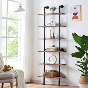 HOMBAZAAR Industrial Bookshelf 6-Tier Modern Ladder Shelf, Vintage Metal Pipes and Wood Shelves, Rustic Display Bookshelf for Storage Collection, Oak Brown