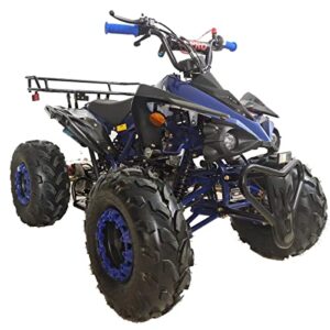 x-pro 125cc atv quad 4 wheeler atvs 125cc atvs quads youth 4 wheelers，blue