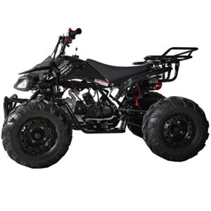 X-Pro 125cc ATV 4 Wheels Wheelers Quad 125 ATV Quads with LED Lights, Big 19"/18" Tires,Black