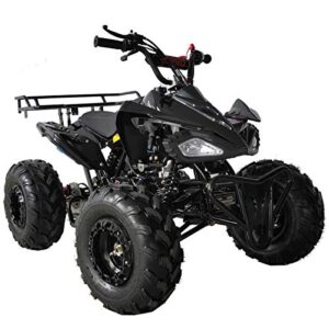 X-Pro 125cc ATV 4 Wheels Wheelers Quad 125 ATV Quads with LED Lights, Big 19"/18" Tires,Black