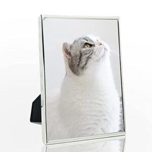 decanit 3.5x5 picture frame metal, thin profile photo frame 3.5 by 5 inch, display for wall or tabletop,silver