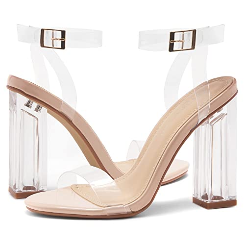 Shoe Land SL-CLLAARY Women's Perspex Heel Ankle Strap Adjustable Buckle Lucite Clear Block Chunky High Heel Open Toe Sandal ClearNude 7.0