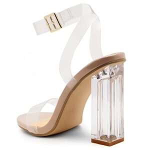 Shoe Land SL-CLLAARY Women's Perspex Heel Ankle Strap Adjustable Buckle Lucite Clear Block Chunky High Heel Open Toe Sandal ClearNude 7.0