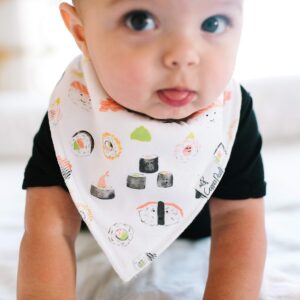 Copper Pearl Baby Bandana Drool Bibs for Drooling and Teething 4 Pack Gift Set “Baja