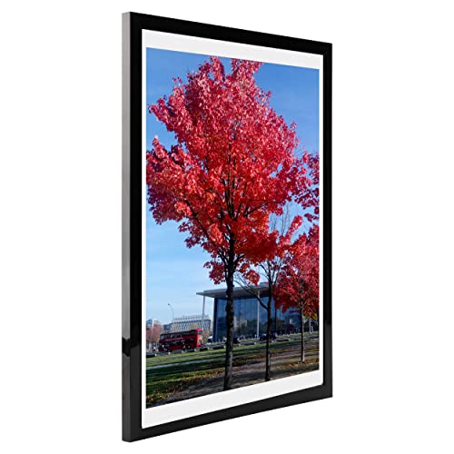 Medog 11x17 9x15 Picture Frame Black Poster Frame Set of 1 Display Photos 11x17 Without Mat or 9x15 With mat Picture Frame in Black 17x11 15x9 Picture Frame (P1L BA)