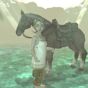 The Legend of Zelda: Twilight Princess (Renewed)