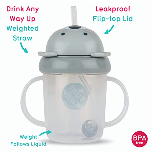 TUM TUM Tippy Up Free Flow Sippy Cup (No Valve), Sippy Cup for Toddlers, 200ml, BPA Free (Kevin Koala)