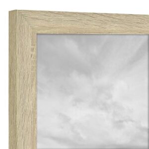 MCS Studio Gallery Frame, Natural Woodgrain, 16 x 20 in, Single