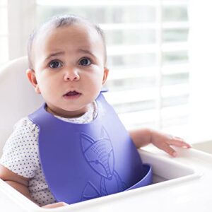 Dr. Brown's Baby Bib with Adjustable Collar and Fox Design, 100% Silicone & Waterproof, Teal/Purple, 2-Pack