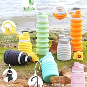 Nefeeko Collapsible Water Bottle, 26oz Silicone Foldable Water Bottles Leakproof BPA Free Travel Water Bottles with Carabiner, Portable Sport Water Bottles for Camping,Hiking Outdoor Indoor Sport