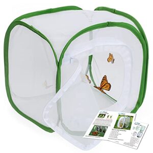 restcloud insect and butterfly habitat cage terrarium pop-up 12 x 12 x 12 inches with zipper protection
