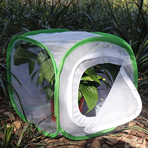 RESTCLOUD Insect and Butterfly Habitat Cage Terrarium Pop-up 12 X 12 X 12 Inches with Zipper Protection
