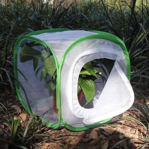 RESTCLOUD Insect and Butterfly Habitat Cage Terrarium Pop-up 12 X 12 X 12 Inches with Zipper Protection