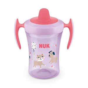 NUK Evolution Soft Spout Learner Cup, 2 Count (Pack of 1)