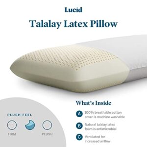 LUCID Talalay Latex Foam Pillow - Mid-Loft - Medium Plush Feel- Removable Cotton Cover, Dorm Room Essentials, Queen