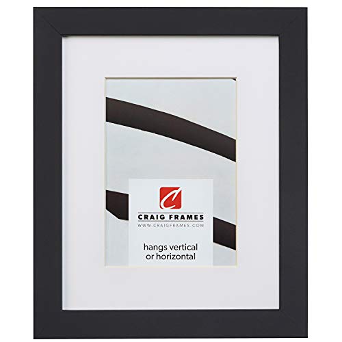 Craig Frames Essentials, Modern 1 Inch Wide 20x24 Inch Black Picture Frame Matted to Display a 16x20 Inch Photo