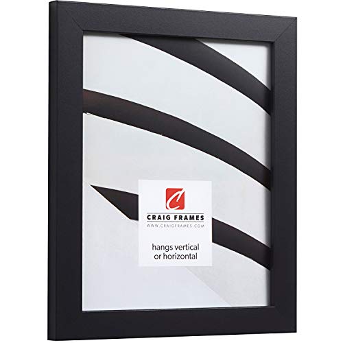 Craig Frames Essentials, Modern 1 Inch Picture Frame, 10 x 13 Inch, Black, Set of 4