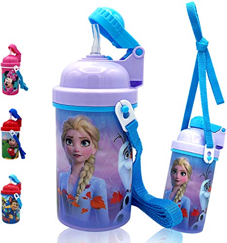 Zak Designs Disney Frozen One Touch Button Water Bottles with Reusable Built in Straw, Carrying Strap - Safe Approved BPA Free, Easy to Clean, for Kids Girls Boys, Goodies Home Travel