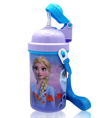 Zak Designs Disney Frozen One Touch Button Water Bottles with Reusable Built in Straw, Carrying Strap - Safe Approved BPA Free, Easy to Clean, for Kids Girls Boys, Goodies Home Travel