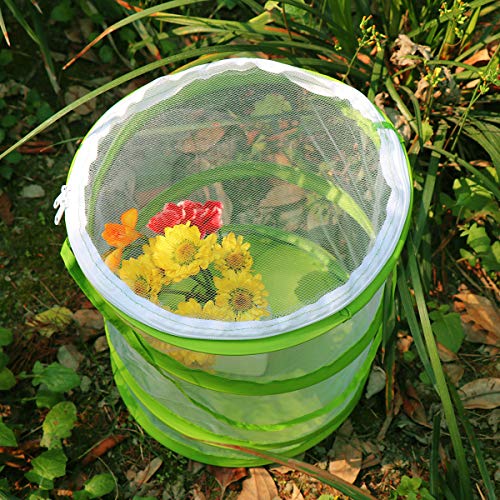 RESTCLOUD Pop-up Insect and Butterfly Habitat Cage Terrarium Clear Mesh Enclosure, See Through Easier 9" x 11" Tall