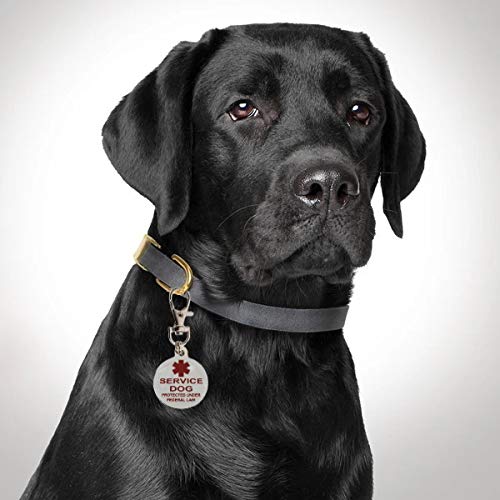 Service Dog Tag Double Sided Federal Protection with Medical Alert Symbol | Includes Five Service Dog Law Cards | Attaches to Collar Harness Vest Dog Service Tag