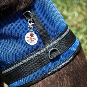 Service Dog Tag Double Sided Federal Protection with Medical Alert Symbol | Includes Five Service Dog Law Cards | Attaches to Collar Harness Vest Dog Service Tag